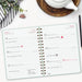 EAN 8422952405337 - Finocam 762020326 agenda Agenda diaria Color menta imagen 3