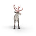 EAN 4069111772967 - schleich Vida Salvaje 75004 figura de juguete para niños imagen 4