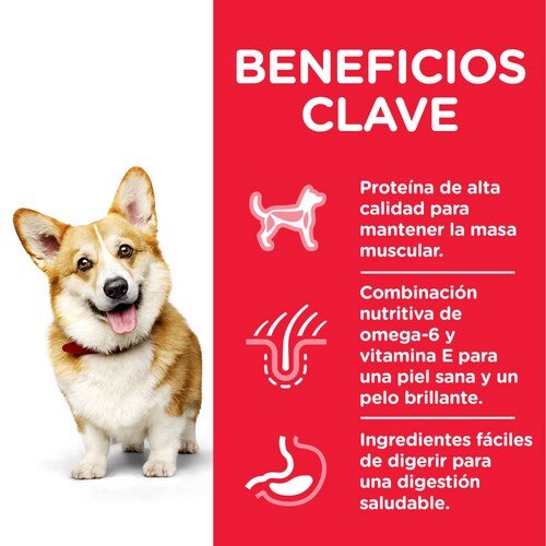EAN 52742024769 - Hills 604233 comida seca para perros 6 kg Pollo, Ternera imagen 4
