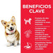 EAN 52742024769 - Hills 604233 comida seca para perros 6 kg Pollo, Ternera imagen 4