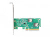 EAN 4043619900763 - DeLOCK 90076 tarjeta y adaptador de interfaz SFF-8654 imagen 1