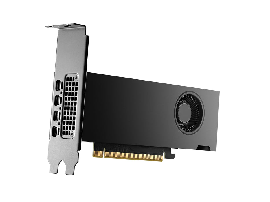 EAN 3536403392307 - PNY RTX2000 Ada NVIDIA RTX 2000 Ada 16 GB GDDR6 imagen 2