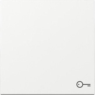 EAN 4010337039853 - GIRA 328703 placa de pared y cubierta de interruptor Blanco imagen 1