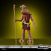 EAN 5010996299017 - Star Wars The Vintage Collection Momaw Nadon imagen 11