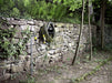 EAN 4054278503998 - Kärcher 2.645-323.0 accesorio para hidrolimpiadora Manguera imagen 5