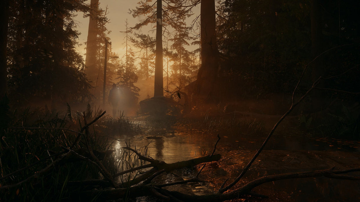EAN 5056635609427 - Epic Games Alan Wake 2 Deluxe Edition De lujo Chino simplificado, Chino tradicional, Alemán, Inglés, Espa imagen 5