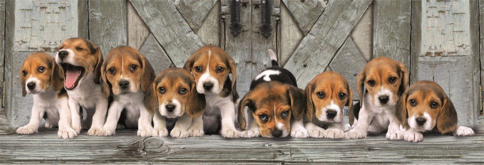 EAN 8005125398690 - Clementoni 39869 puzzle Puzzle rompecabezas imagen 2