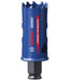 EAN 4059952535692 - Bosch 2 608 900 423 sierra de corona Taladro 1 pieza(s) imagen 1