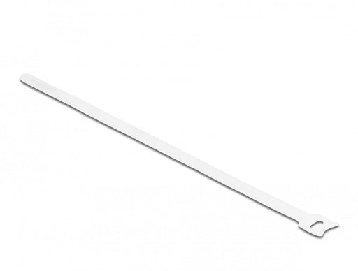 EAN 4043619195244 - DeLOCK 19524 presilla Bridas adherentes para cables 10 pieza(s) imagen 1