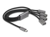 EAN 4043619642106 - DeLOCK 64210 hub de interfaz USB 2.0 Type-C 480 Mbit/s Negro, Gris imagen 1