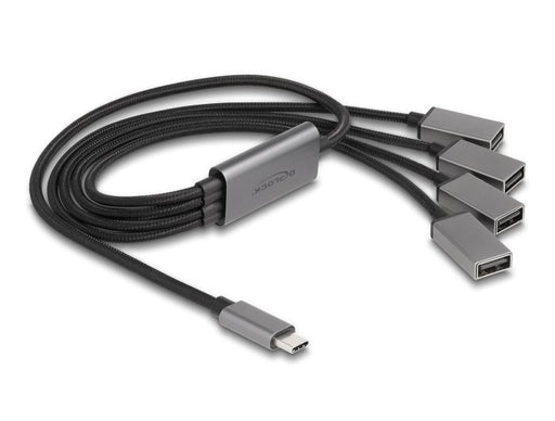 EAN 4043619642106 - DeLOCK 64210 hub de interfaz USB 2.0 Type-C 480 Mbit/s Negro, Gris imagen 1