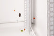 EAN 4016032205975 - Digitus DN-19 20U-6/6 armario rack Bastidor de pared Gris imagen 7