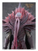EAN 4571697189300 - Good Smile Company POP UP PARADE SP The Emperor imagen 7