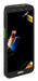 EAN 5715328360242 - Zebra TC501 ordenador móvil de mano 15,2 cm (6") 2160 x 1080 Pixeles Pantalla táctil 284 g Negro imagen 1