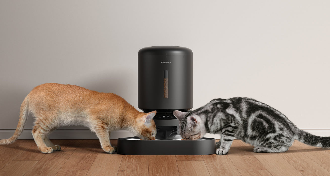 EAN 0619988627354 - Petlibro Granary Smart comedero y bebedero para perro y gato Negro Comedero automático para mascotas imagen 3