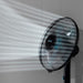 EAN 8435484059039 - Cecotec 05903 ventilador Negro imagen 2