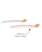 EAN 0816523028731 - Skip Hop Easy-Feed Spoons Cuchara para mermelada Coral 2 pieza(s) imagen 3