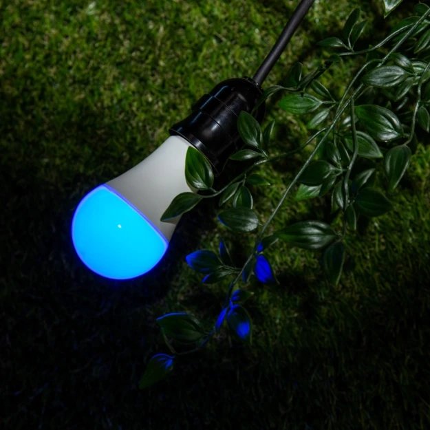 EAN 3800235262306 - Shelly DUO RGBW Bombilla inteligente Wi-Fi 9 W imagen 5