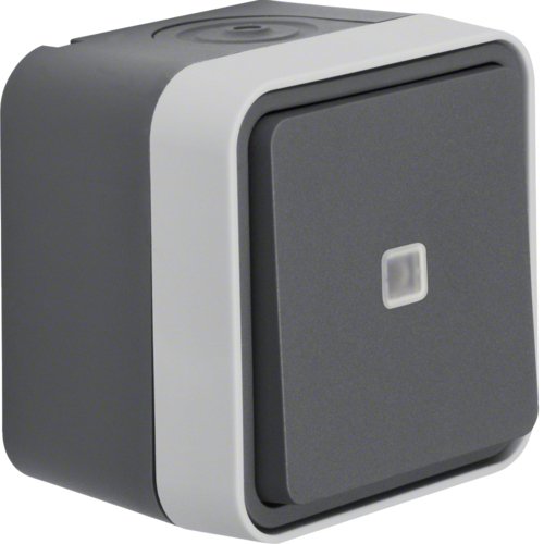 EAN 4011334394945 - Berker 31763505 interruptor de luz Gris imagen 1