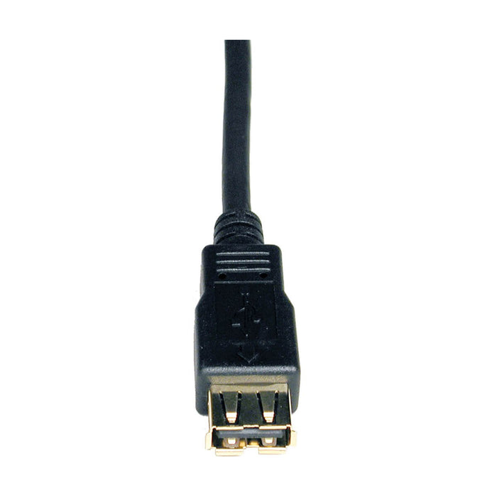 EAN 37332116536 - Tripp Lite U024-006 cable USB 1,83 m USB A 0,48 Gbit/s Negro imagen 3
