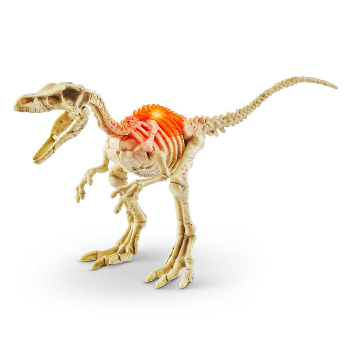 EAN 4894680031821 - Robo Alive 71115 juguete y kit de ciencia para niños imagen 6