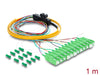 EAN 4043619910472 - DeLOCK 91047 Cable de fibra óptica e InfiniBand 1 m 12x LC Pigtail Azul imagen 1