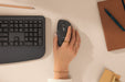 EAN 5099206134683 - Logitech Signature Comfort Plus M850 L ratón Universal mano derecha RF Wireless + Bluetooth Óptico 4000 D imagen 9