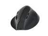 EAN 4015867242872 - Equip 245120 ratón Universal mano derecha RF Wireless + Bluetooth Óptico 1600 DPI imagen 2