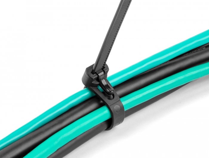 EAN 4043619190669 - DeLOCK 19066 presilla Bridas adherentes para cables Nylon 100 pieza(s) imagen 4