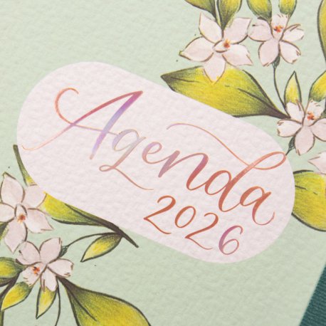 EAN 8422952407058 - Finocam 770320226 agenda Agenda diaria Verde imagen 9