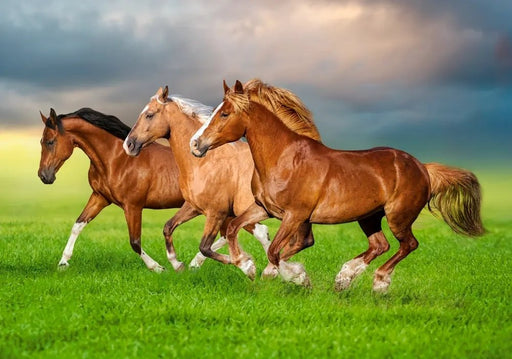 EAN 5904438054084 - Castorland B-54084 puzzle imagen 2