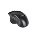 EAN 8433281017542 - TooQ TQMWG-1105-B ratón Universal mano derecha RF inalámbrico Óptico imagen 1