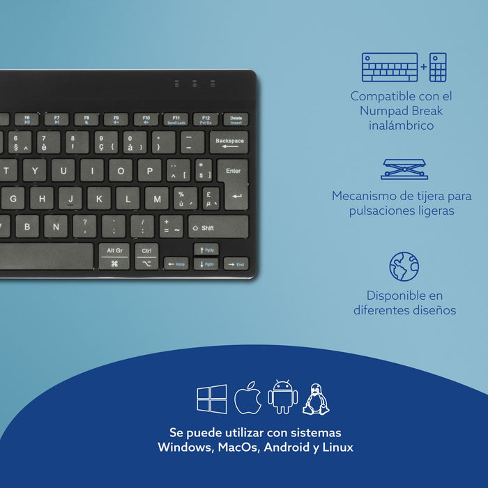 EAN 8719274491972 - R-Go Tools RGOCOBEWLBL teclado Oficina Belga imagen 12