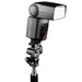EAN 4250234579087 - Walimex 17908 accesorio para flash imagen 3