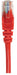 EAN 766623738859 - Intellinet 738859 cable de red Rojo 0,25 m Cat6 U/UTP (UTP) imagen 3