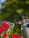 EAN 4078500051132 - Gardena 11120-20 pulverizador manual Negro imagen 5