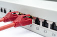 EAN 4016032288428 - Digitus DN-91624S-EA panel de parcheo 1U imagen 2