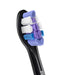 EAN 8720689043731 - Philips HX6056/88 cepillo de cabello 6 pieza(s) Negro imagen 4