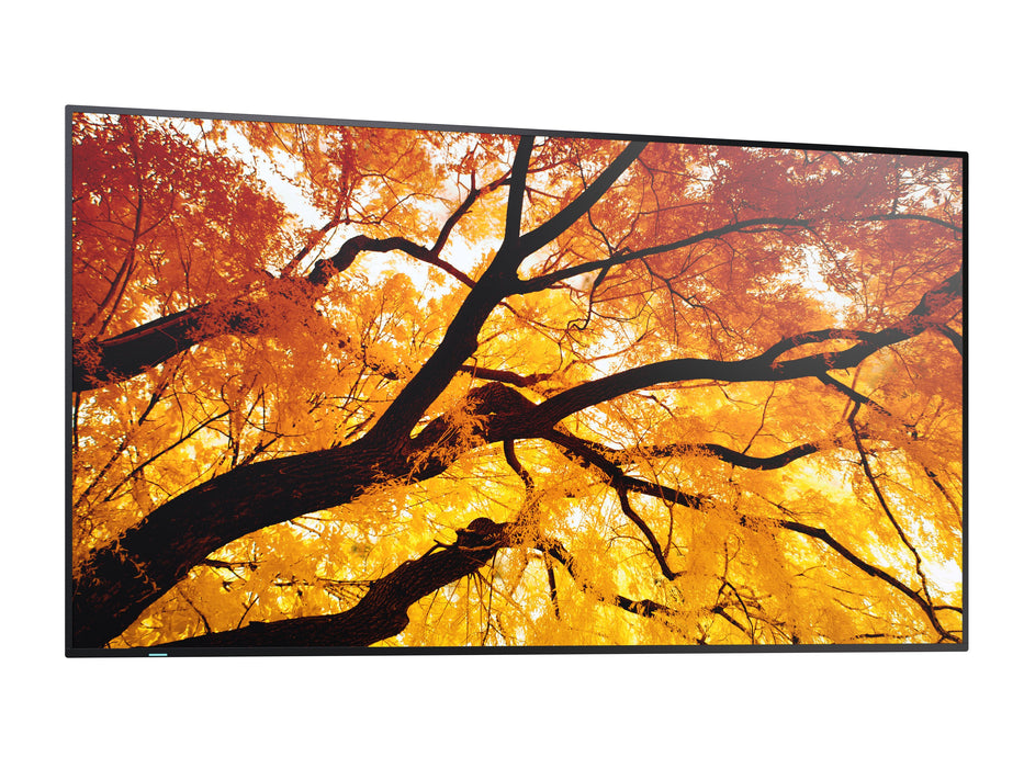 EAN 4550556176668 - Sharp MultiSync PN-M982 Panel plano interactivo 2,48 m (97.5") LED 550 cd / m² 4K Ultra HD Negro 24/7 imagen 3
