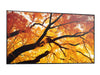 EAN 4550556176682 - Sharp MultiSync M322 Pantalla plana para señalización digital 81,3 cm (32") LCD 550 cd / m² Full HD Negro imagen 8