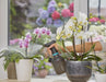 EAN 4078500051118 - Gardena 11112-20 rociador de jardín Pulverizador manual 1 L imagen 4
