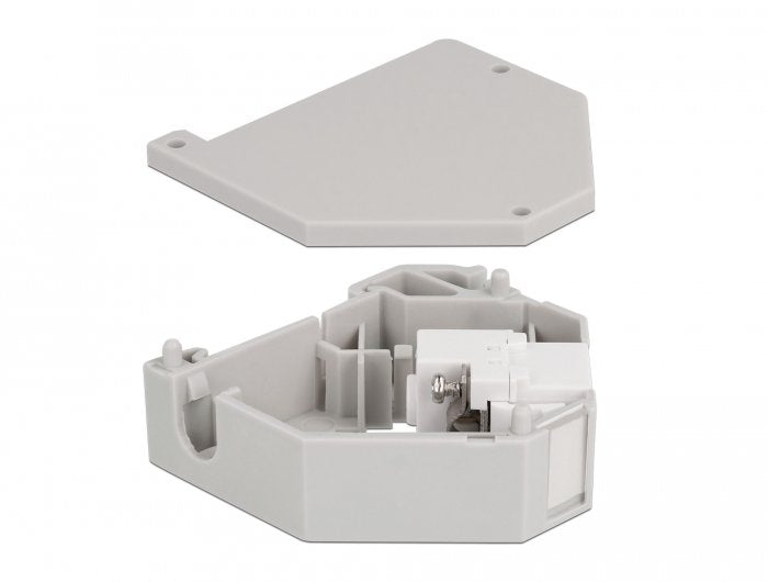 EAN 4043619871599 - DeLOCK 87159 módulo de conector de red imagen 2