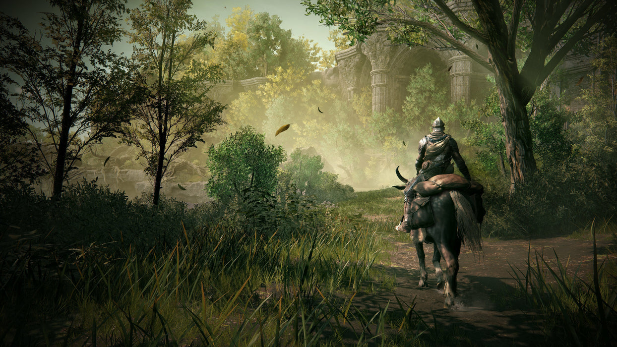 EAN 3391892030983 - BANDAI NAMCO Entertainment Elden Ring: Shadow of the Erdtree Estándar PlayStation 5 imagen 12