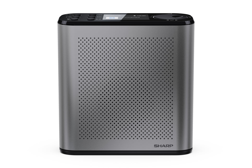 EAN 4974019204468 - Sharp Digitalradio DR-P530 GR Portátil Digital imagen 2
