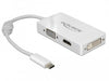 EAN 4043619639243 - DeLOCK 63924 divisor de video imagen 1