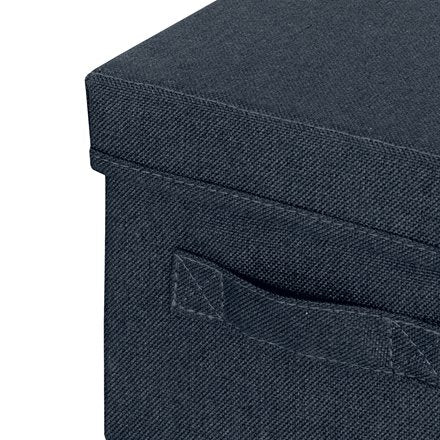 EAN 4002432134939 - Leitz 61460089 caja de almacenaje Rectangular Tela Azul imagen 3