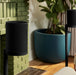 EAN 8717755779731 - Sonos Era 100 SL Rango completo Negro Inalámbrico y alámbrico imagen 8