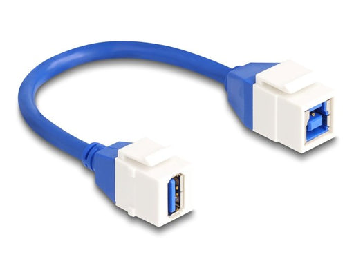 EAN 4043619869701 - DeLOCK 86970 cable USB USB 3.2 Gen 1 (3.1 Gen 1) 0,2 m USB A USB B Azul, Blanco imagen 1