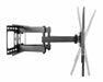 EAN 4710739597004 - AG Neovo LMA-02 165,1 cm (65") Negro imagen 2