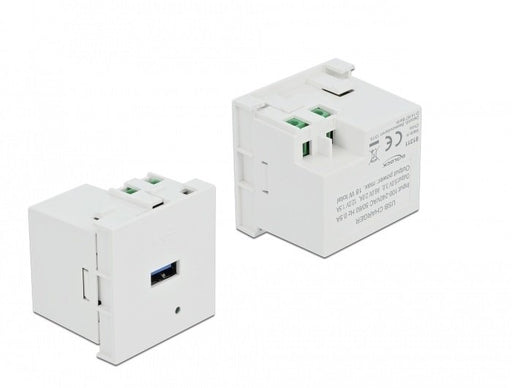 EAN 4043619813117 - DeLOCK 81311 toma de corriente USB A Blanco imagen 1